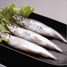 ปลาไข่