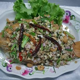 ปลาทับทิมลุยสวน