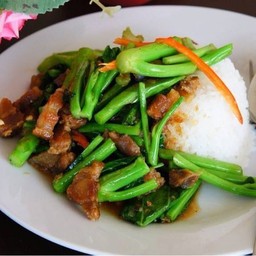 ผัดคะน้าหมูกรอบราดข้าว