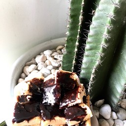 ชา-แฟ-ปัง