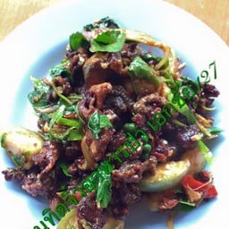 ร้านทิดจิ๋วอาหารป่าเอกชัย127