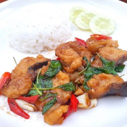 ข้าวกะเพราปลาดอลลี่