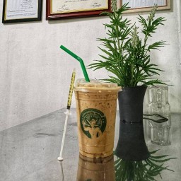 กัญชาคาเฟ่&เฉาก๊วยนมสด เพชรบูรณ์