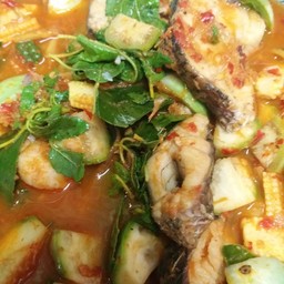 แกงป่าปลาช่อน