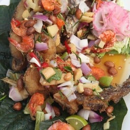 ปลาช่อนระเบียบสวน