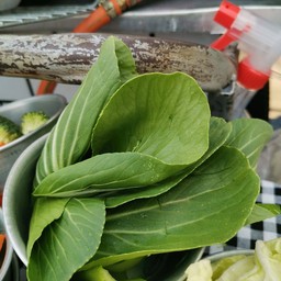 ฮ่องเต้