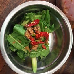 ข้าวราดคะน้าน้ำมันหอย