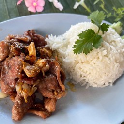 ข้าวกระเพราหมูชิ้น ไข่ดาว