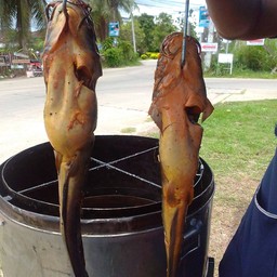 ส้มตำสมหมาย อีสานบ้านเฮา