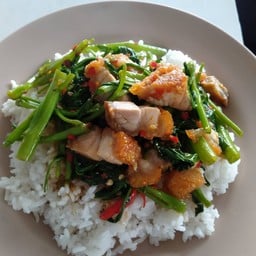 ผักบุ้งน้ำมันหอย