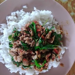 กระเพราเนื้อวัว