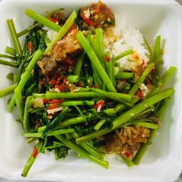 ผัดผักบุ้ง