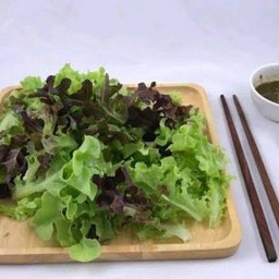 สลัดผัก