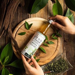 คอมบูชะ