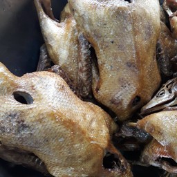 เป็ดพะโล้ตัว