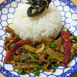 กระเพาสะใบนาง (เนื้อ)