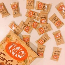 Love Cha AroiD (อร่อยดี)