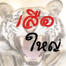 เสือใหญ่ by เชฟโหน่ง