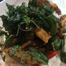 ข้าวกะเพราไข่เยี่ยวม้า