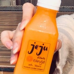Jeju Orange