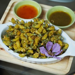 นางงามบ้านในสวน