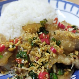 หมูสาวชั้นผัดพริกเกลือ (สไลซ์)XL
