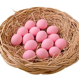 ไข่นิลมังกร