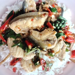 ผัดเผ็ดปลาบึก