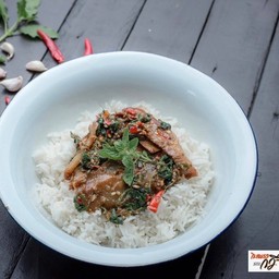 กะเพรา คอหมูย่าง