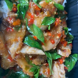 ข้าวราดผัดโหระพาหมูกรอบ