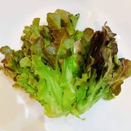 Keng kin dong
