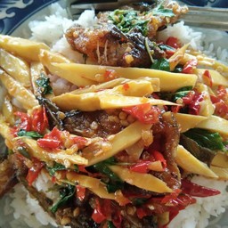 ข้าวกระเพราปลาดุกหน่อไม้