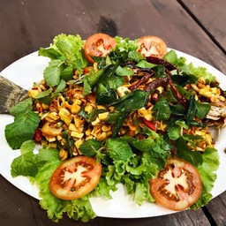 ปลาช่อนลุยสวน