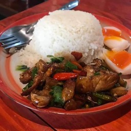 ข้าวราดกะเพราหมูทอด