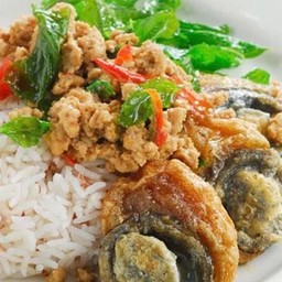 ข้าวกะเพราไข่่เยี่ยวม้า