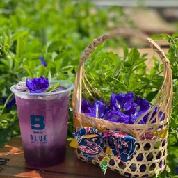 ButterFly pea lemon soda