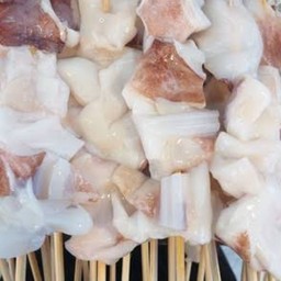 คางปลาหมึกไม้ใหญ่