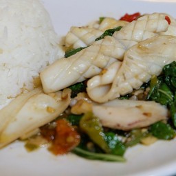 ผัดกะเพราปลาหมึก (ราดข้าว)
