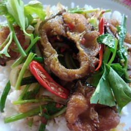 ปลาดุกทอดกรอบผัดขึ้นฉ่าย