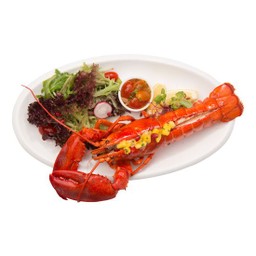 Whole Maine Lobster BBQ