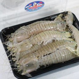 กั้งแก้วเนื้อเป็น (ครึ่งกิโลกรัม)