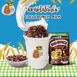 นมหมีปั่นโกโก้ครั้น