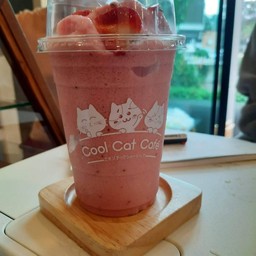 Cool Cat Café คูลแคทคาเฟ่
