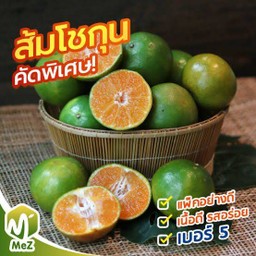 ส้มโชกุน แม่ดาว