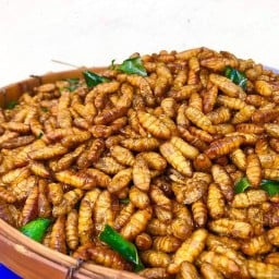 I Mos แมลงทอด 1