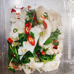 ข้าวกะเพราปลาหมึก