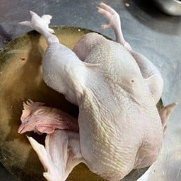 ไก่เหนียว  เนื้อแน่นๆ ตัวใหญ่ ข้าวมันไก่ ต้มยำ ไก่ใต้น้ำ