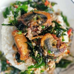 ข้าวแมวคลุกปลาทูไข่ต้ม(สุก)& อาหารตามสั่ง -