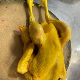 ไก่บ้าน-ไก่ไทย เป็นตัว