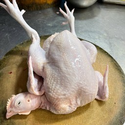 ไก่เนื้อตัวใหญ่  ไก่นุ่ม เป็นตัว